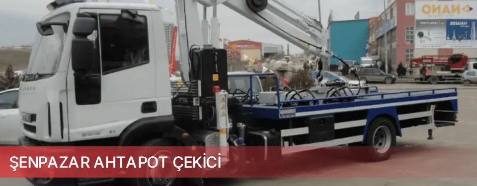 Şenpazar İlçemi Ahtapot Çekici