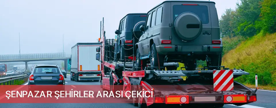 Şenpazar İlçemi Şehirler Arası Çekici
