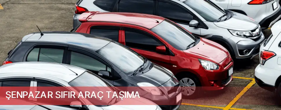 Şenpazar İlçemi Sıfır Araç Taşıma