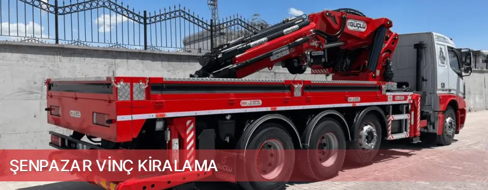 Şenpazar İlçemi Vinç Kiralama